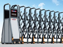 價格: 800元  紅菜斯A1